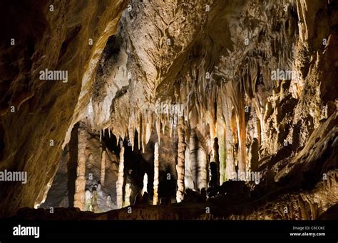 Grottes de Han! Zbadaj podziemny świat stalaktytów i stalagmitów!