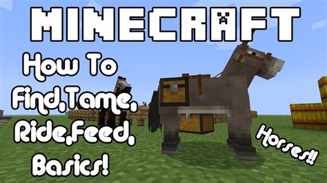 How Do You Feed a Horse in Minecraft, and Why Do They Prefer Golden Apples Over Carrots?