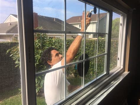 How to Replace Glass in a Double Pane Window: A Journey Through Time and Space