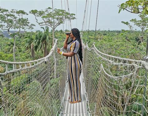  Lekki Conservation Centre: Oaza spokoju i dzikiej przyrody w sercu Nigerii!