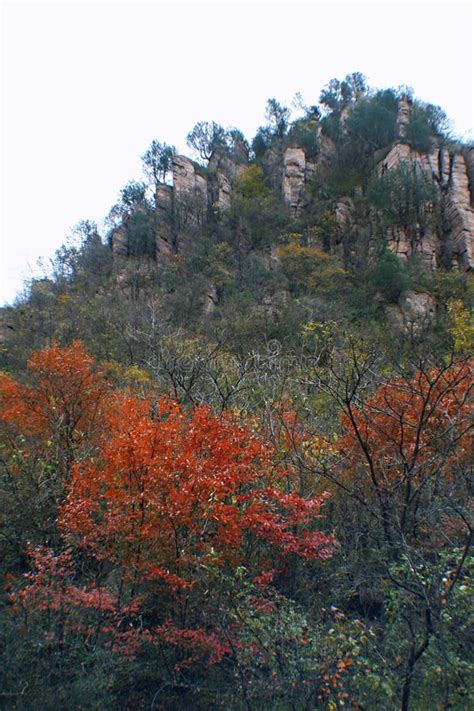  Sаньmenxia Canyon: Wykute w skałach cuda natury i opowieści o smokach!