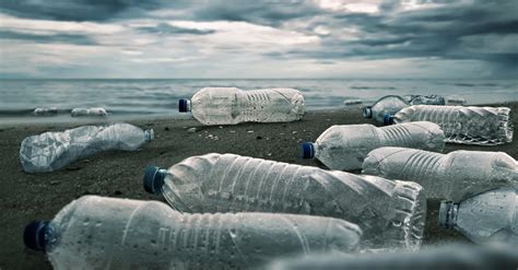 Should Plastic Water Bottles Be Banned: A Dive into the Ocean of Possibilities