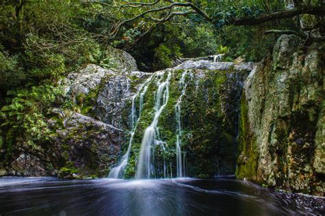 The Harold Porter Botanical Garden: A Lush Paradise Where Cape Flora Flourishes!