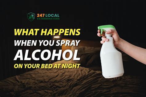 Why Spray Alcohol on Bed: A Curious Exploration into Unconventional Practices